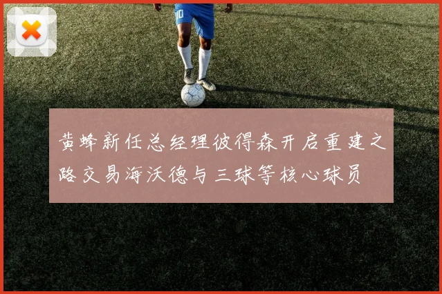 黄蜂新任总经理彼得森开启重建之路交易海沃德与三球等核心球员